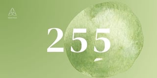 255 angel number meaning, love life, twin flame, spirituality