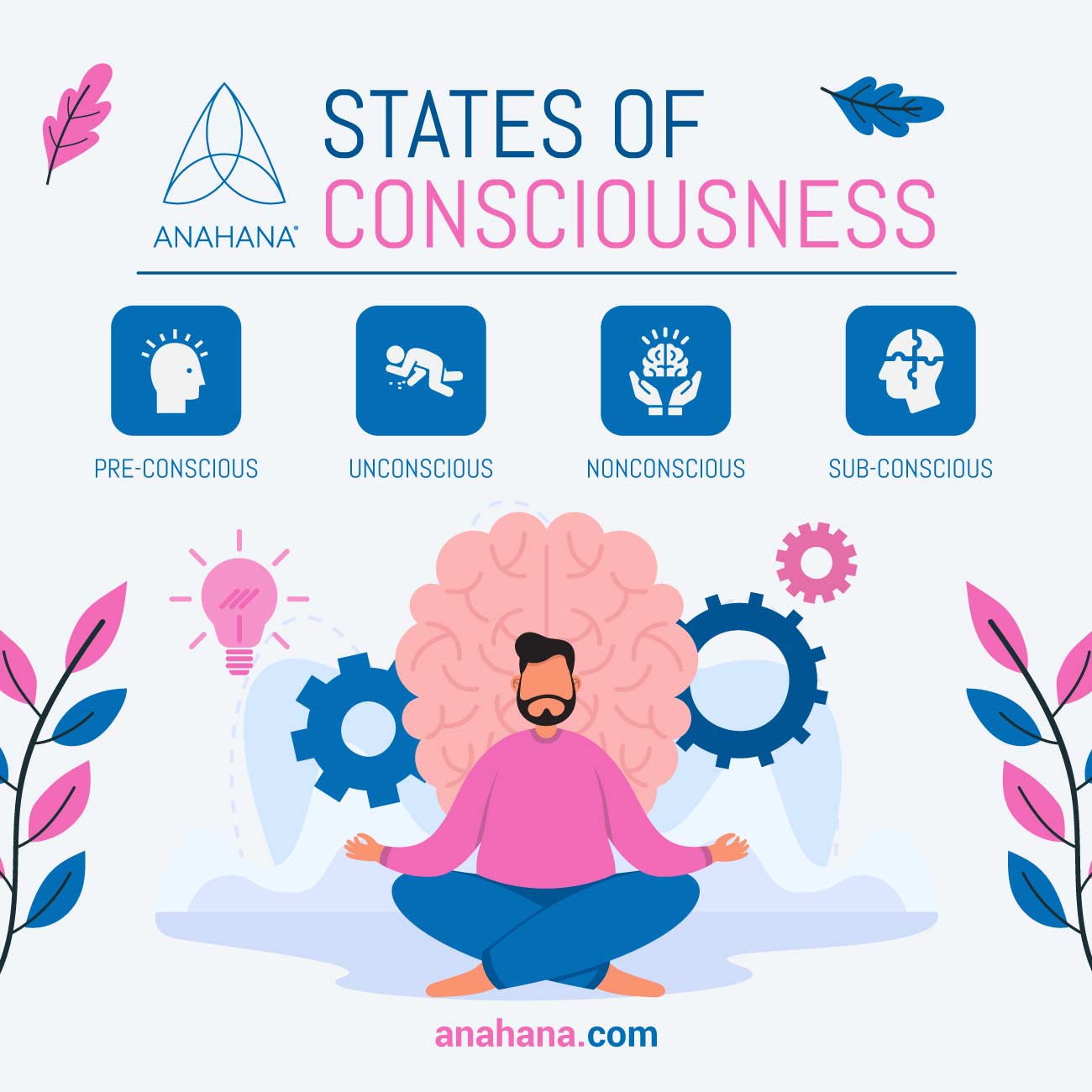 Exploring Consciousness: A Journey Through The Mind