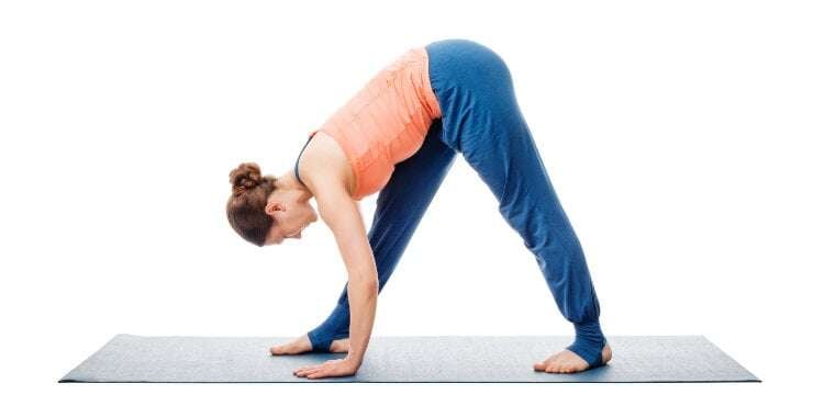 parsvottanasana pyramid pose