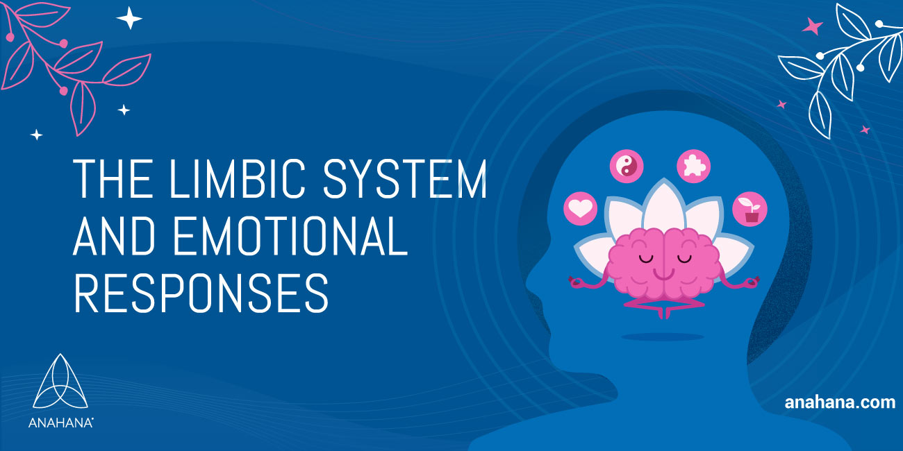 Limbic system - Function, Definition, Location, Structure