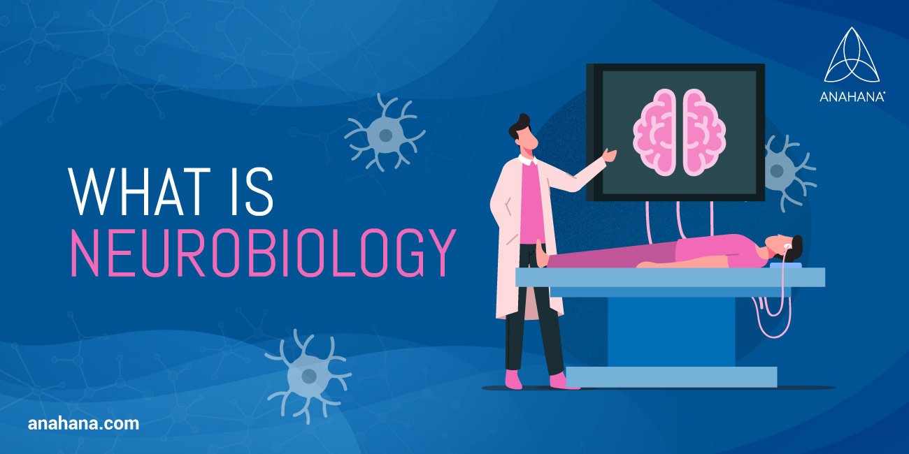 Neurobiology, Vs Neuroscience, Depression, Psychology, Disease