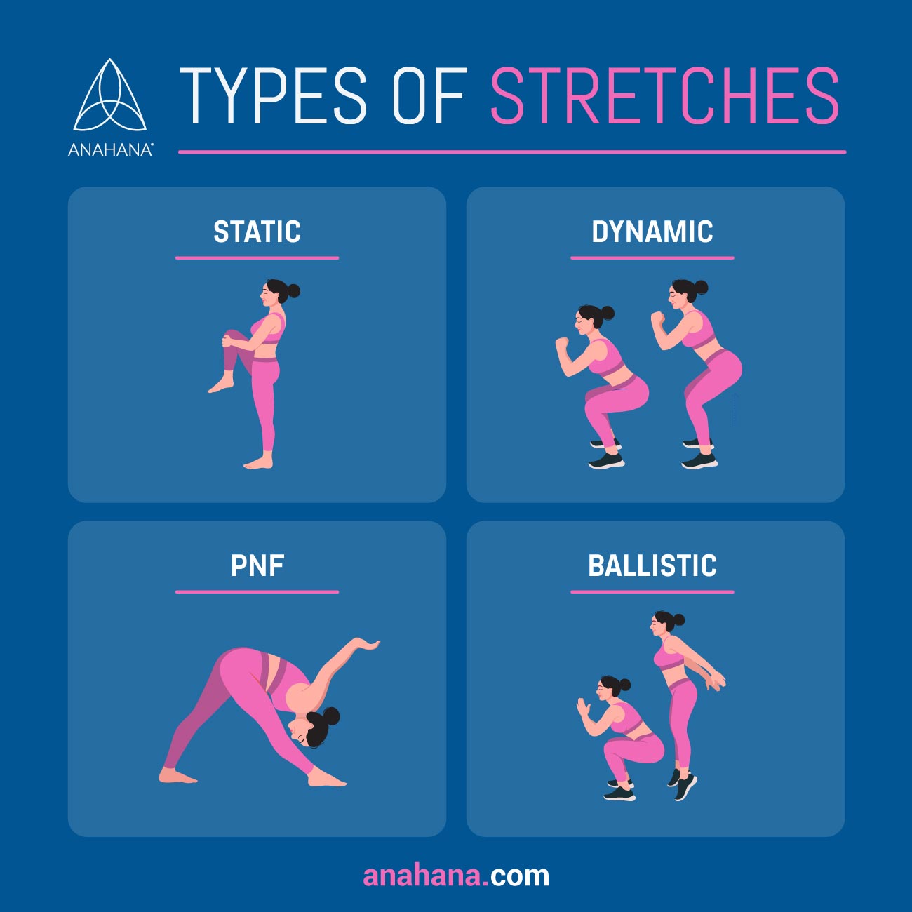 Types of dynamic online stretching exercises