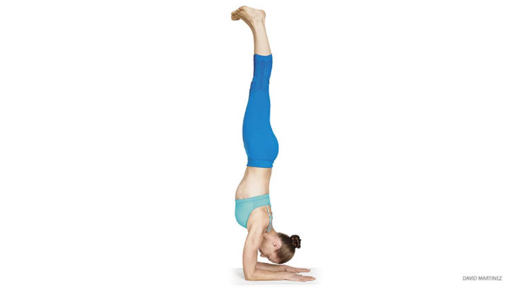 How to Master Forearm Stand — YOGABYCANDACE