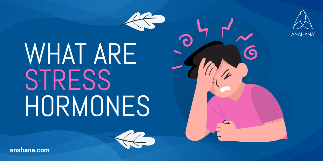 stress-hormones-names-definition-symptoms-cortisol-adrenaline