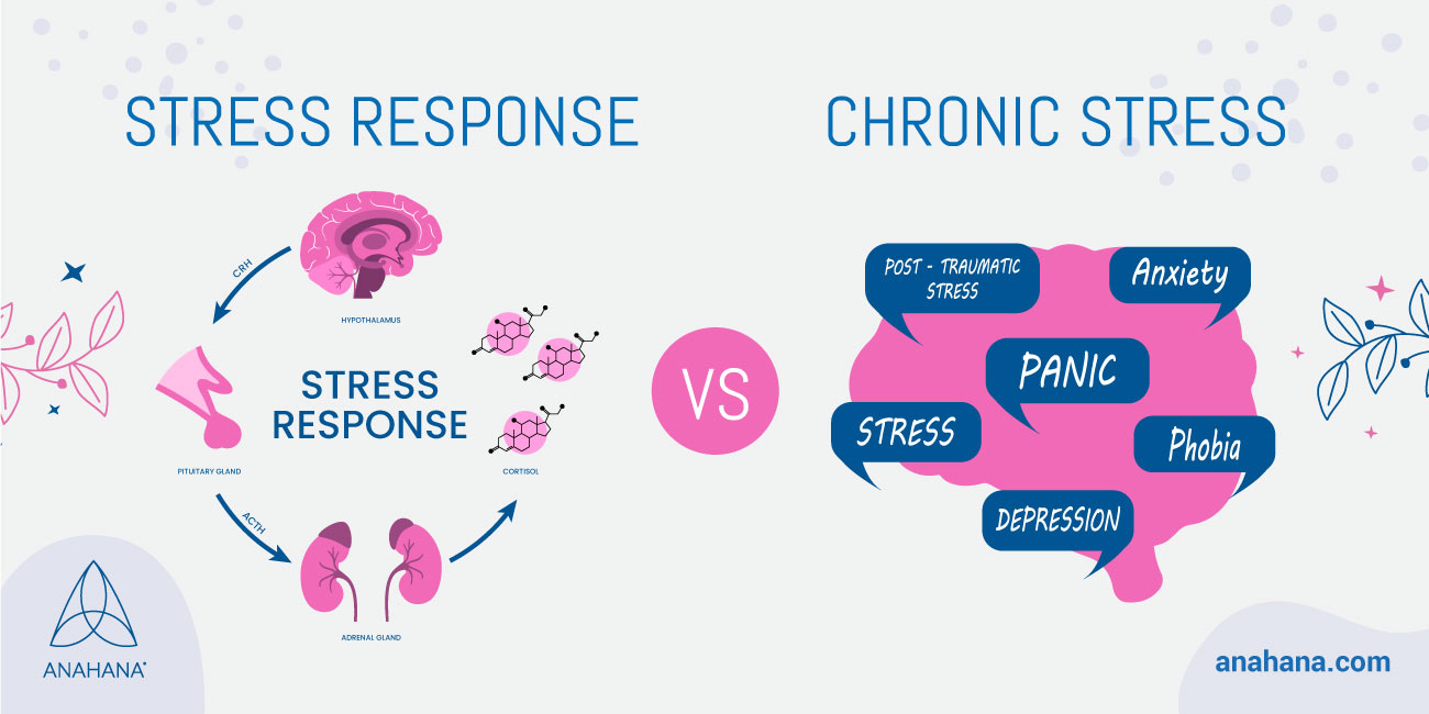 Stress Response What It Is And How To Handle It 0342