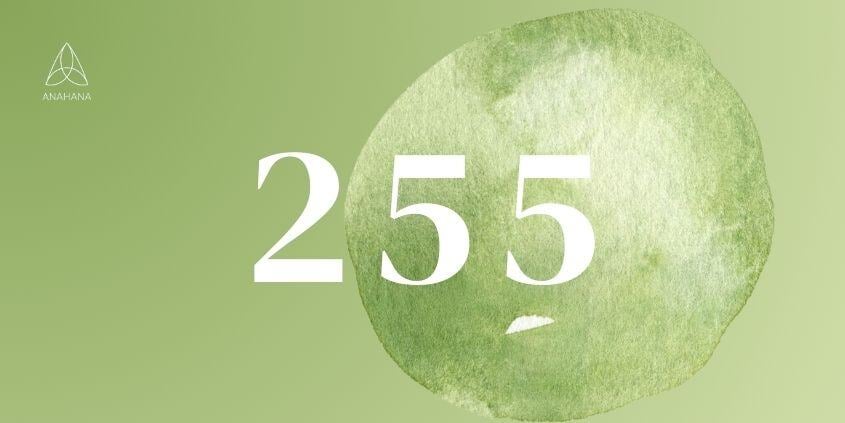 255 エンジェルナンバーの意味, 愛の人生, ツインフレーム, 精神性
